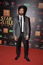Shahid Kapoor at The Renault Star Guild Awards Ceremony in NSCI, Mumbai on 16th Jan 2014